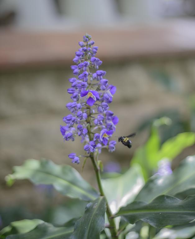 Torburnlea Homestead Luxury Accommodation Νέλσπρουιτ Εξωτερικό φωτογραφία