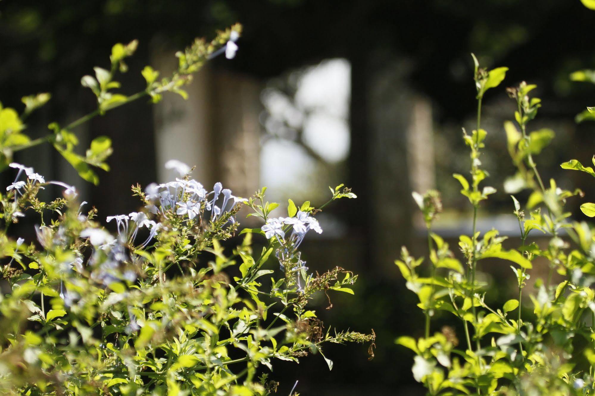 Torburnlea Homestead Luxury Accommodation Νέλσπρουιτ Εξωτερικό φωτογραφία